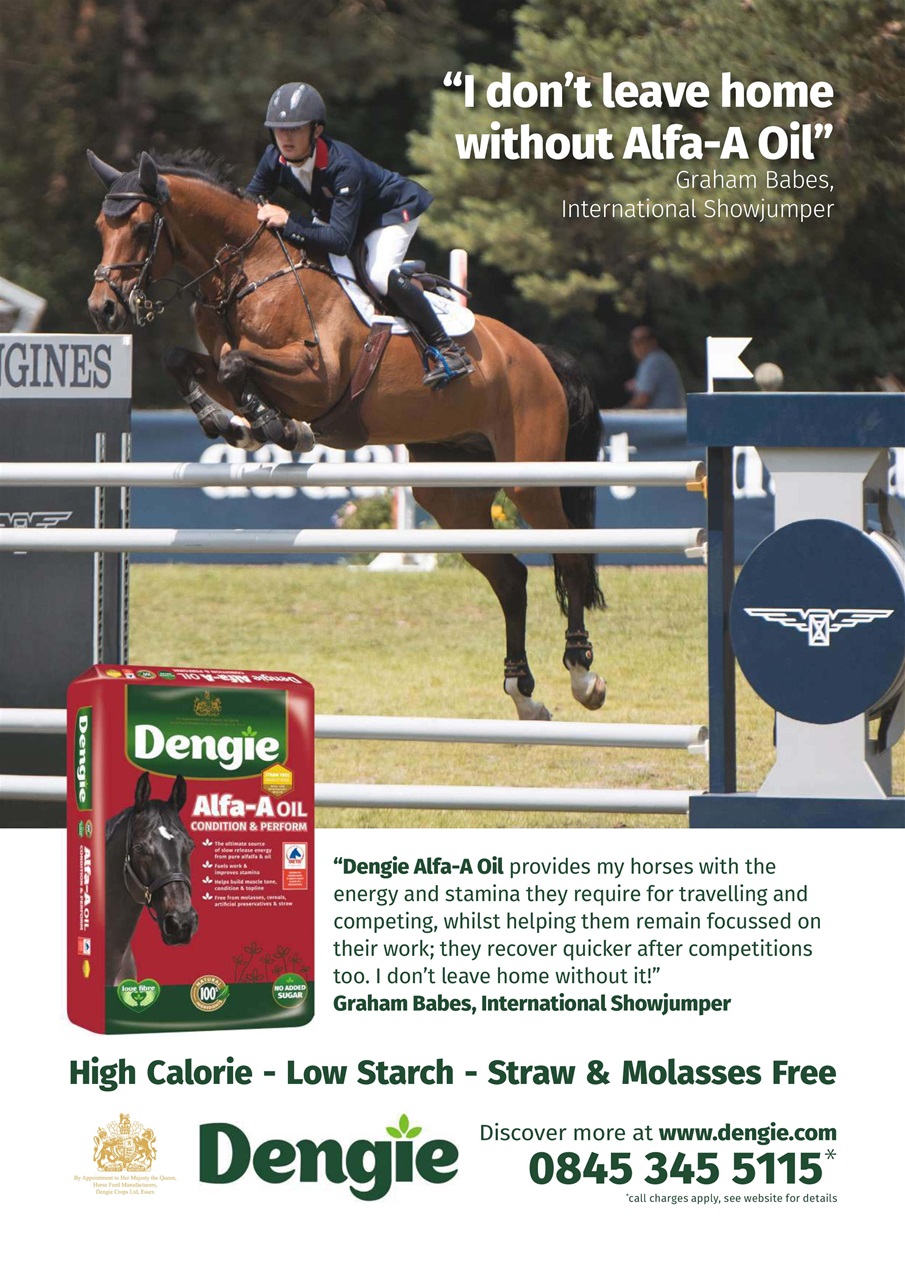 Your Horse Preview Pages