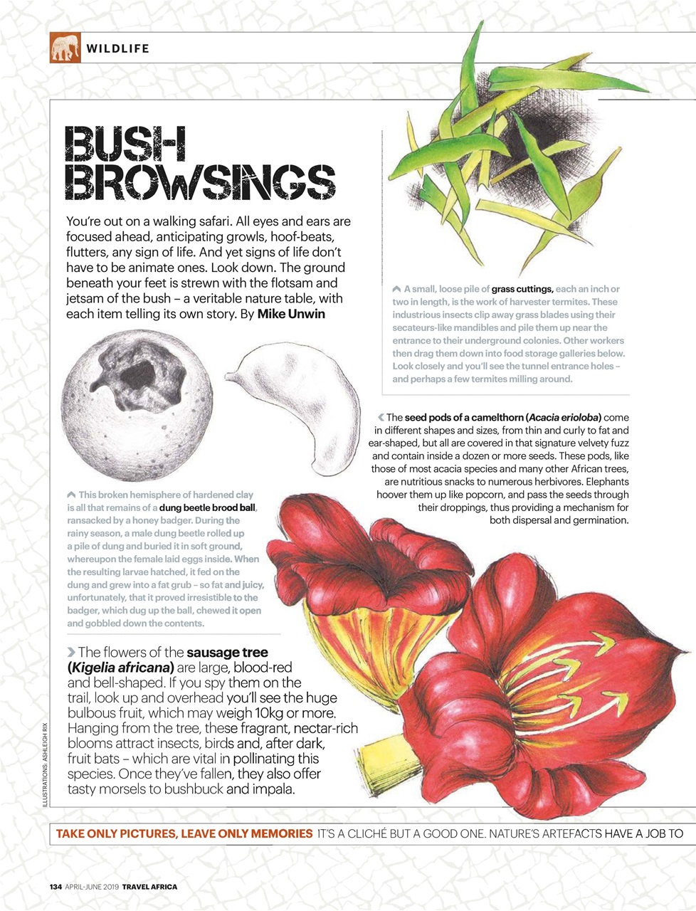 Travel Africa Preview Pages