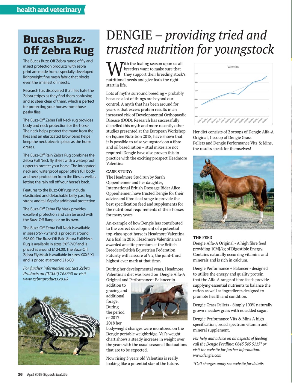Equestrian Life Magazine Preview Pages