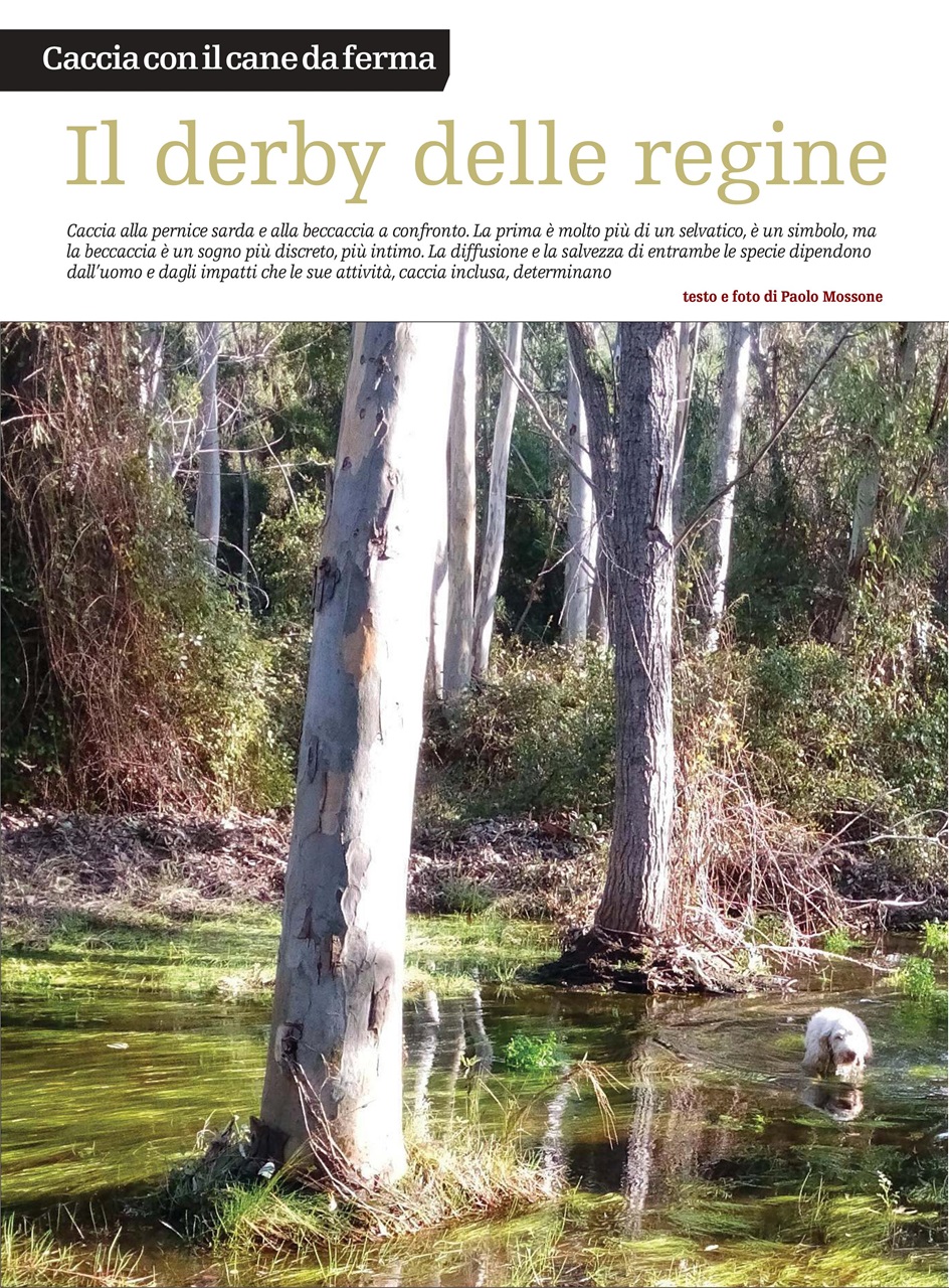 SENTIERI DI CACCIA Preview Pages