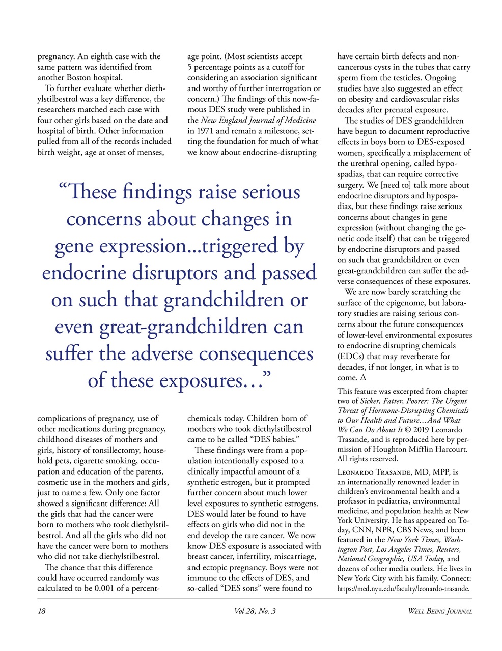 Well Being Journal Preview Pages