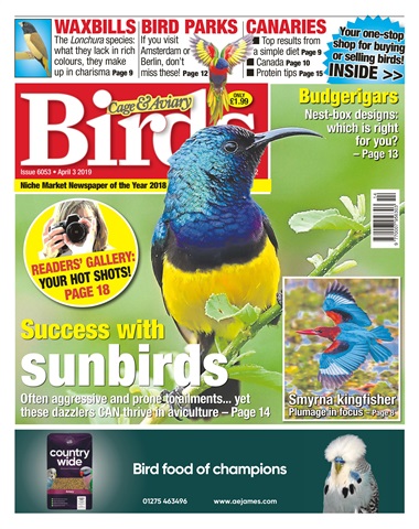 Cage & Aviary Birds issue 03/04/2019