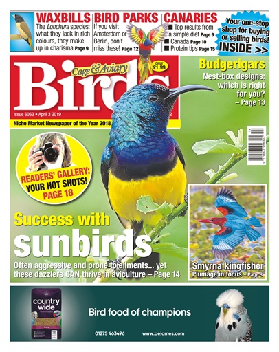 Cage & Aviary Birds issue 