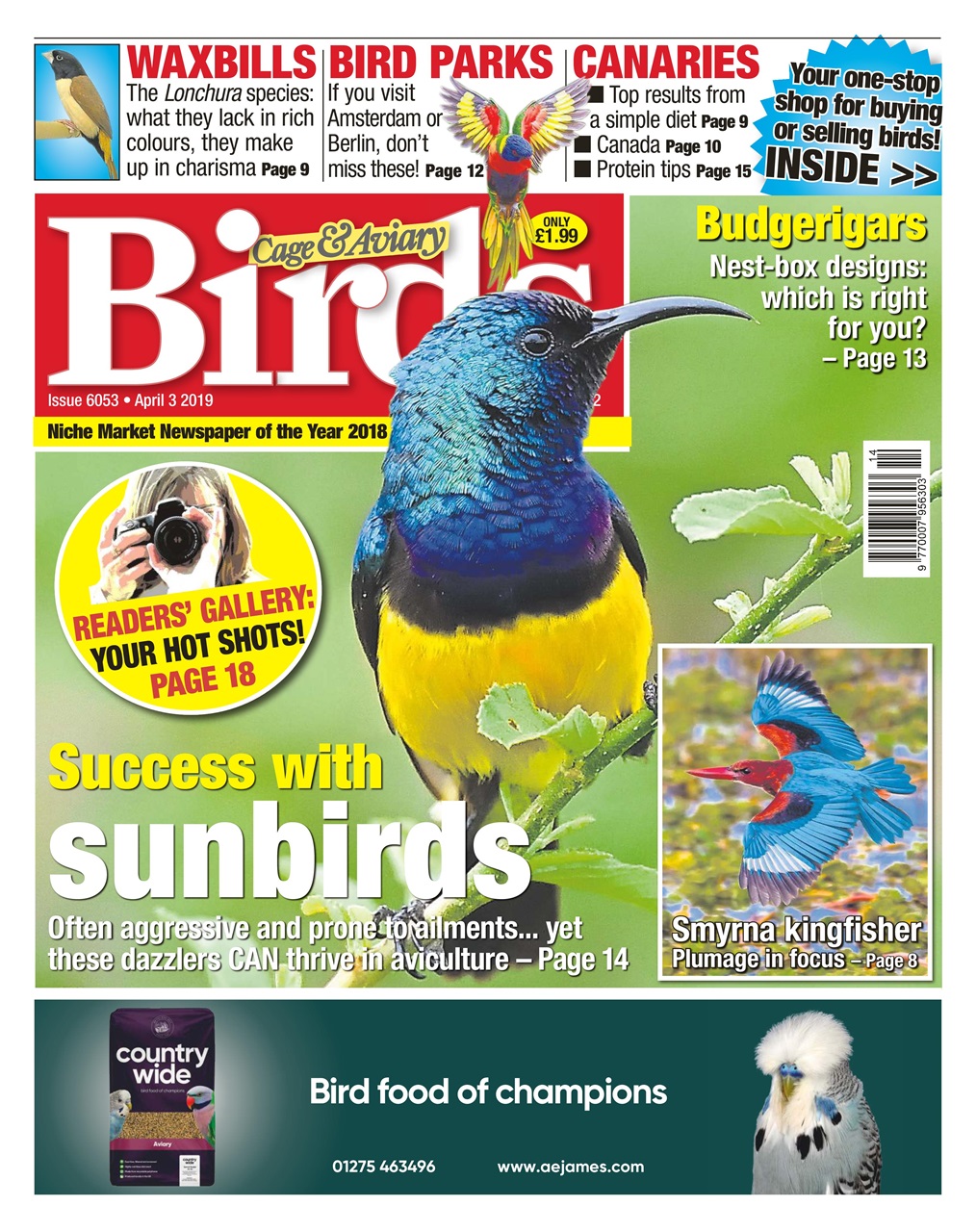 Cage & Aviary Birds Preview Pages