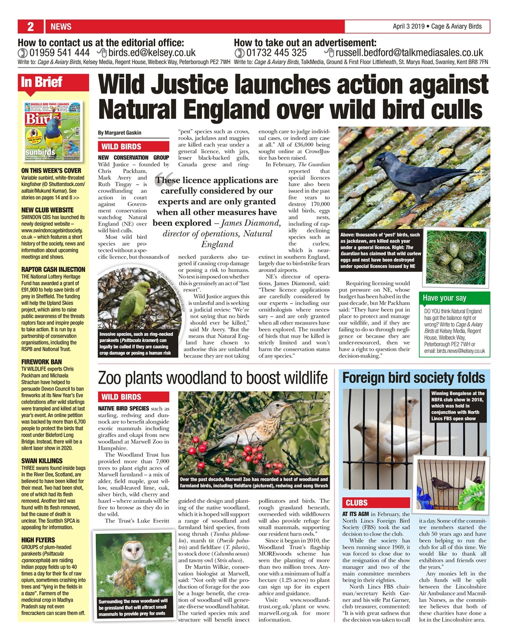 Cage & Aviary Birds Preview Pages