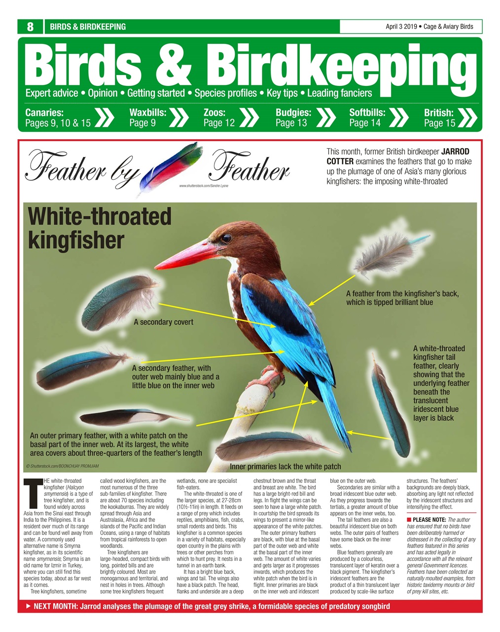 Cage & Aviary Birds Preview Pages
