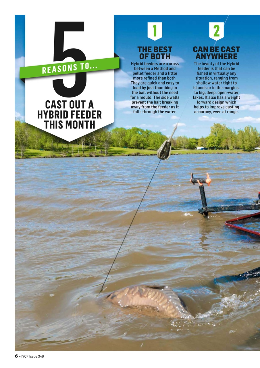 Improve Your Coarse Fishing Preview Pages