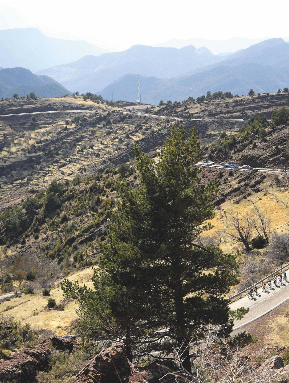 Cycling Weekly Preview Pages