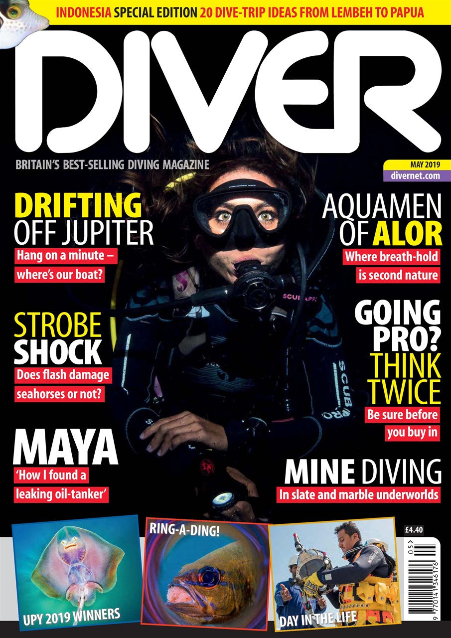 DIVER Preview Pages