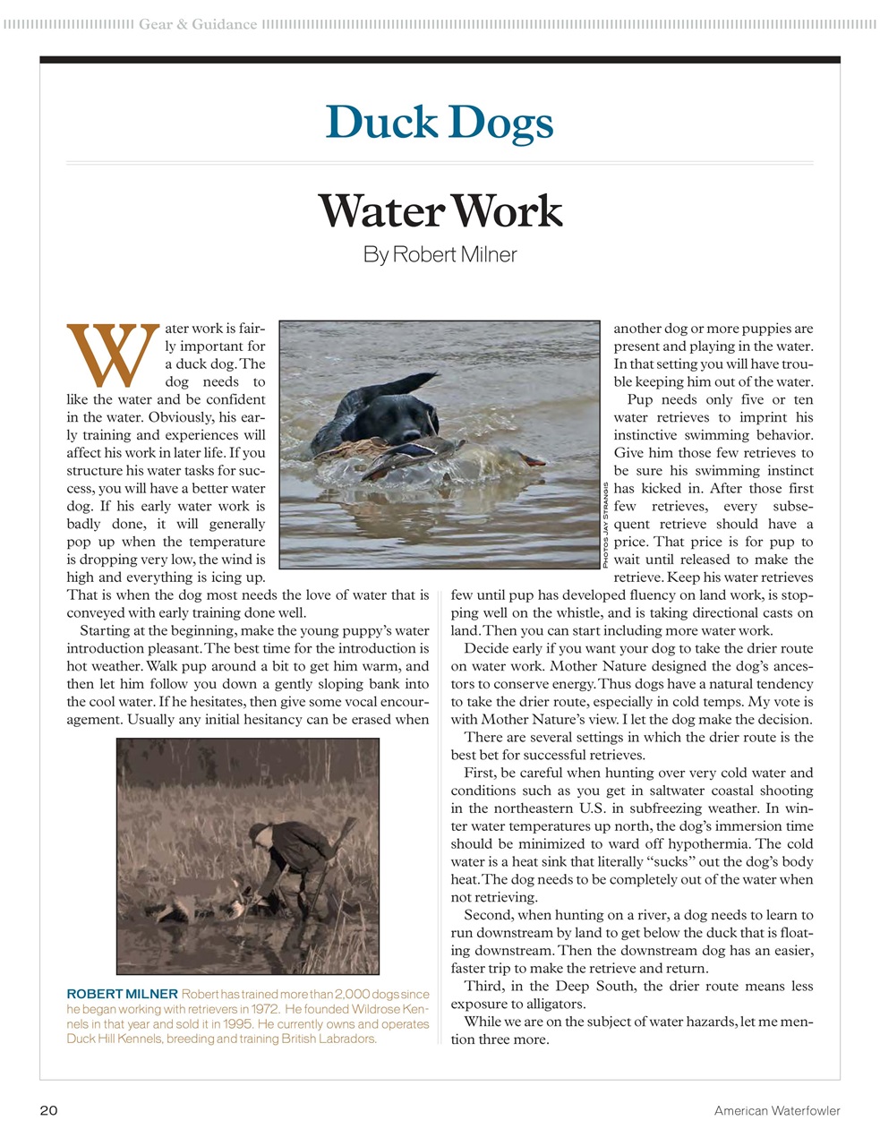 American Waterfowler Preview Pages