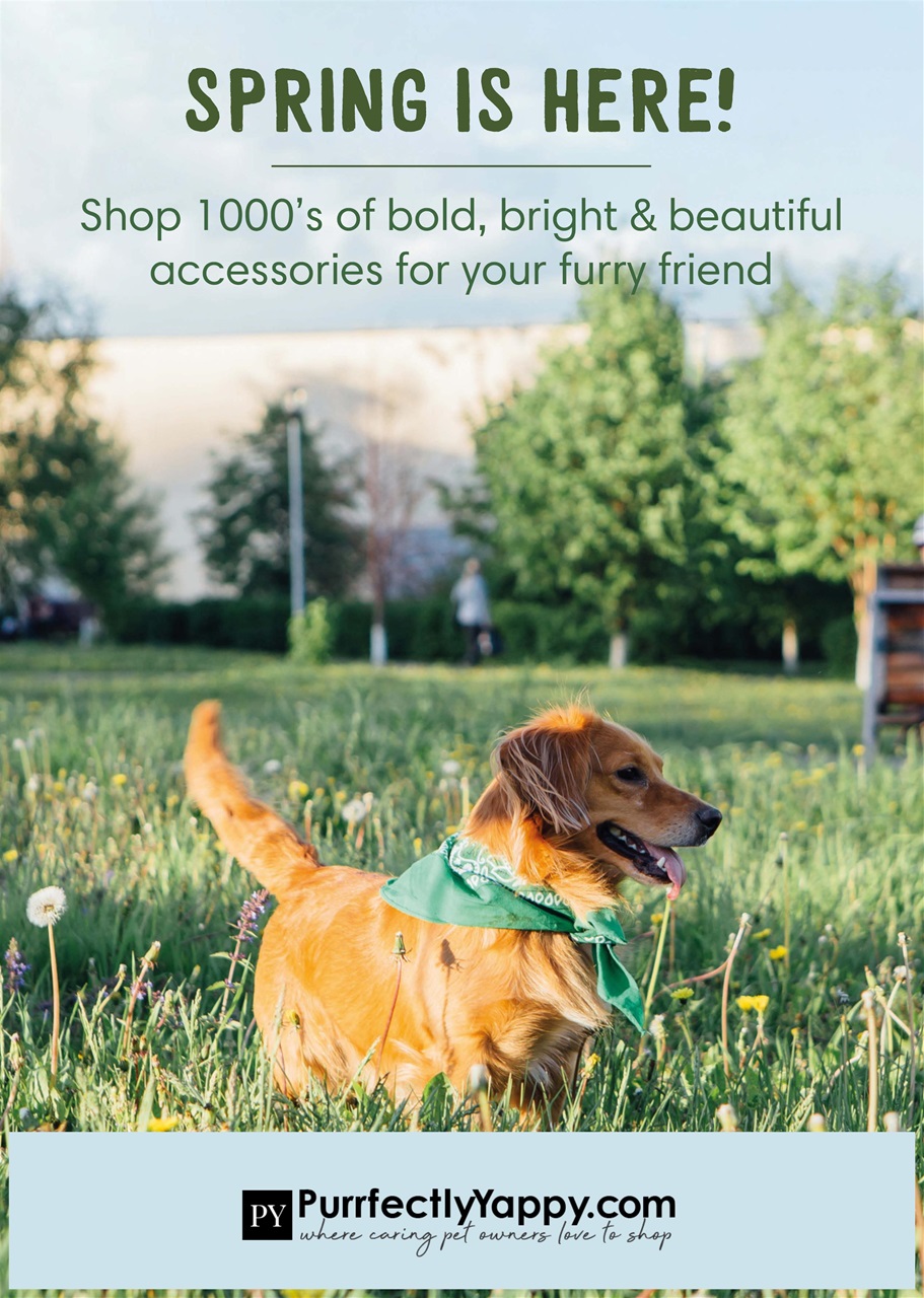 Dogs Monthly Preview Pages