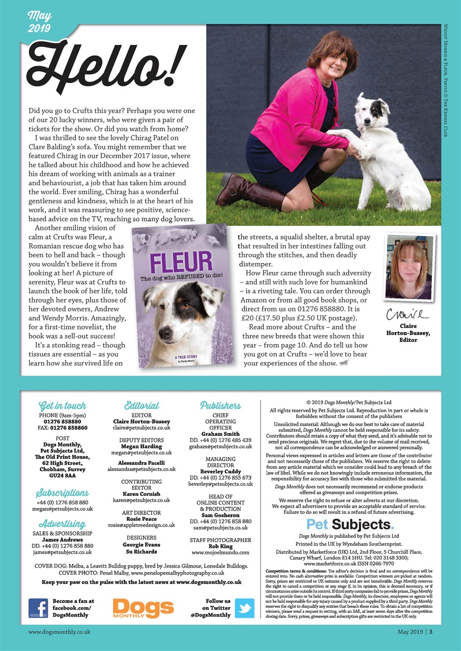 Dogs Monthly Preview Pages