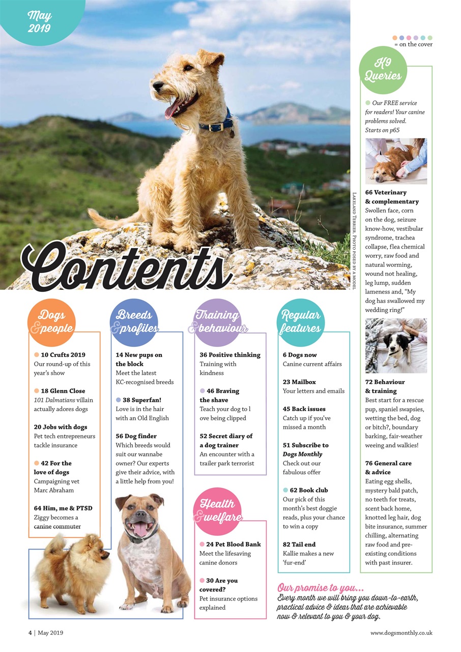 Dogs Monthly Preview Pages