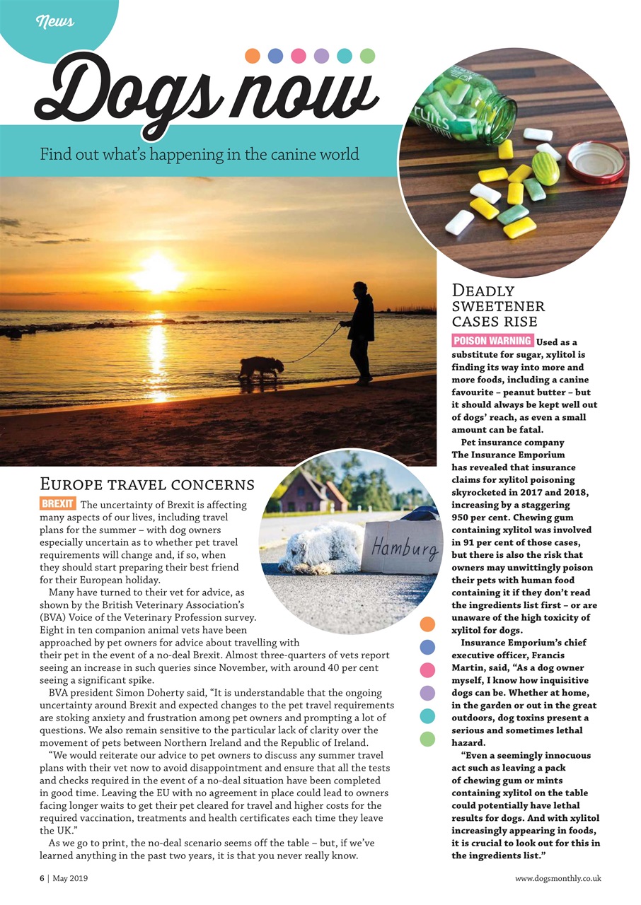 Dogs Monthly Preview Pages