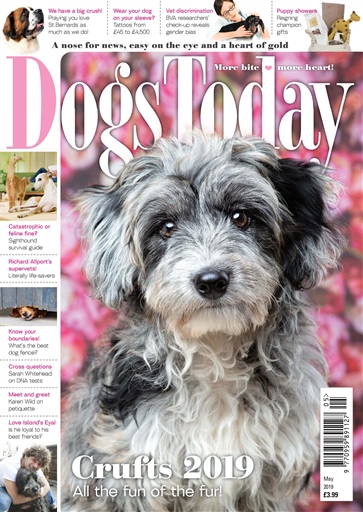 Dogs Today Magazine issue 