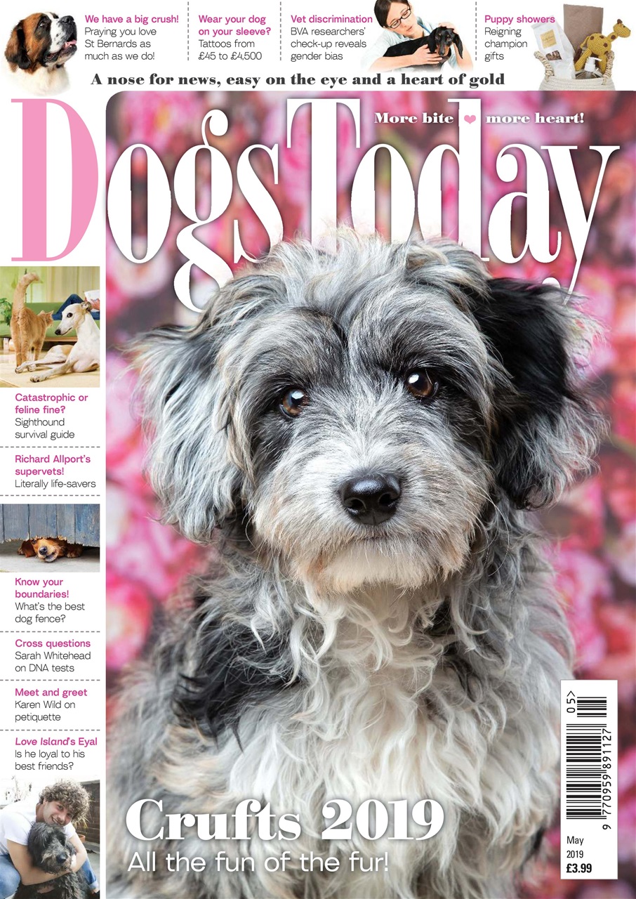Dogs Today Magazine Preview Pages
