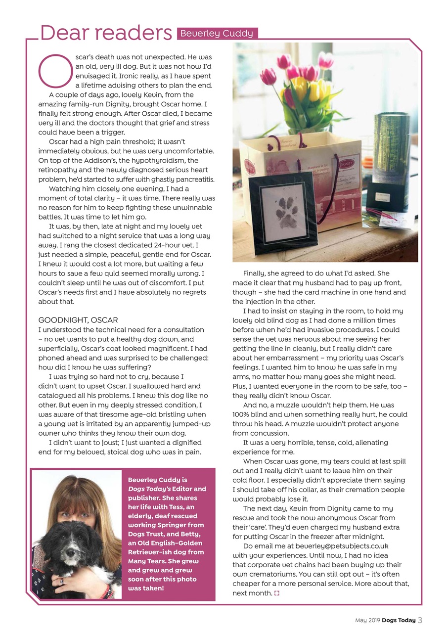 Dogs Today Magazine Preview Pages