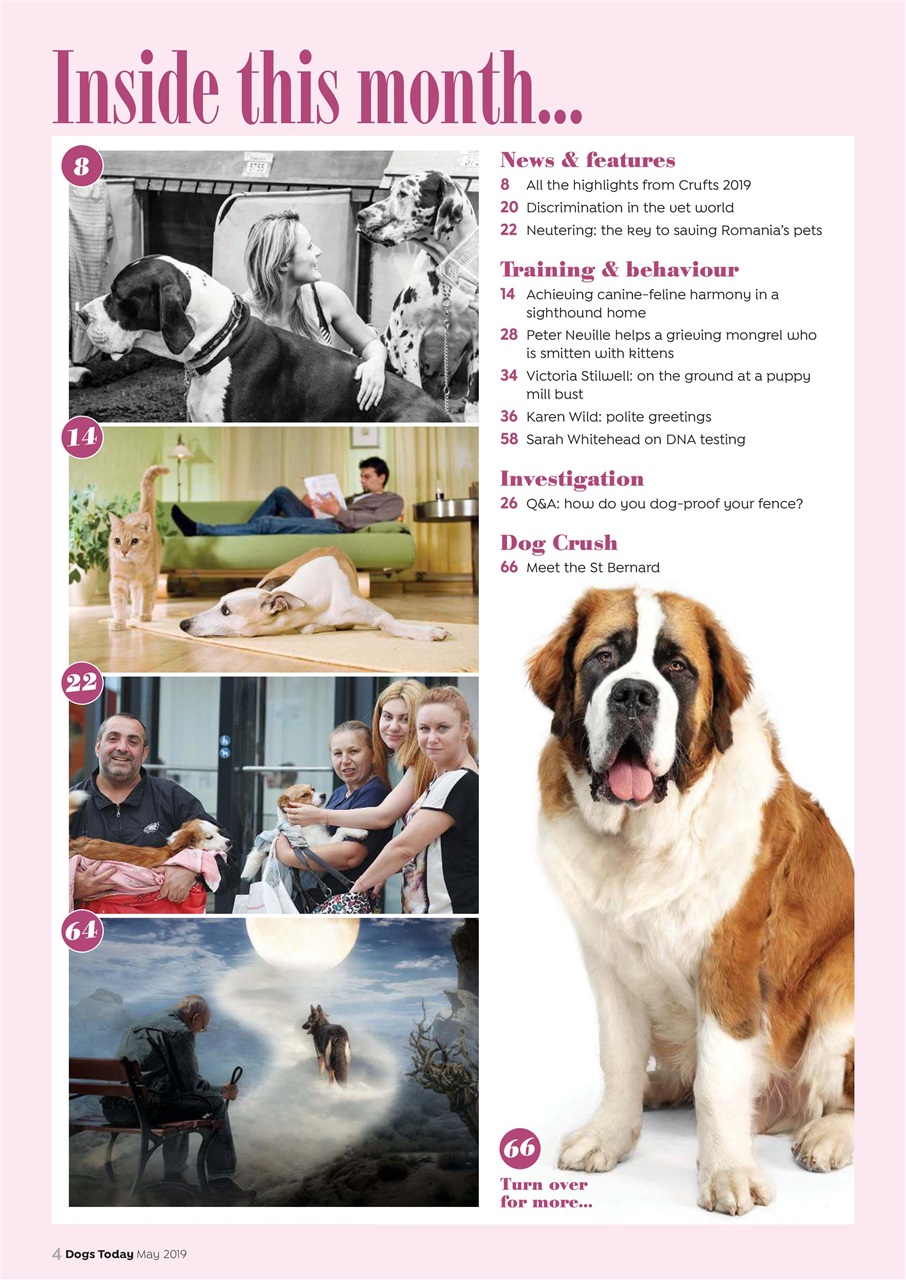 Dogs Today Magazine Preview Pages
