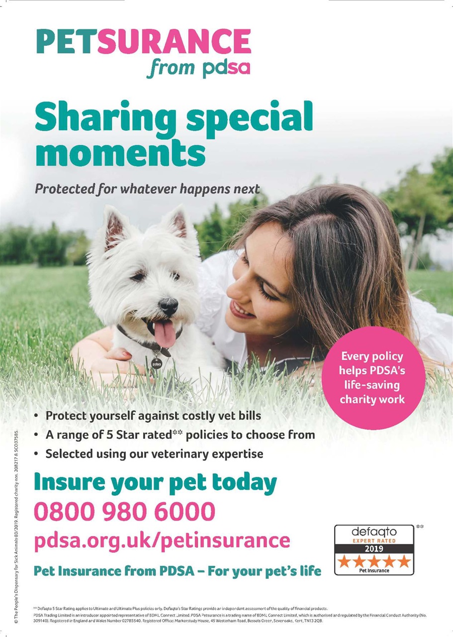 Dogs Today Magazine Preview Pages