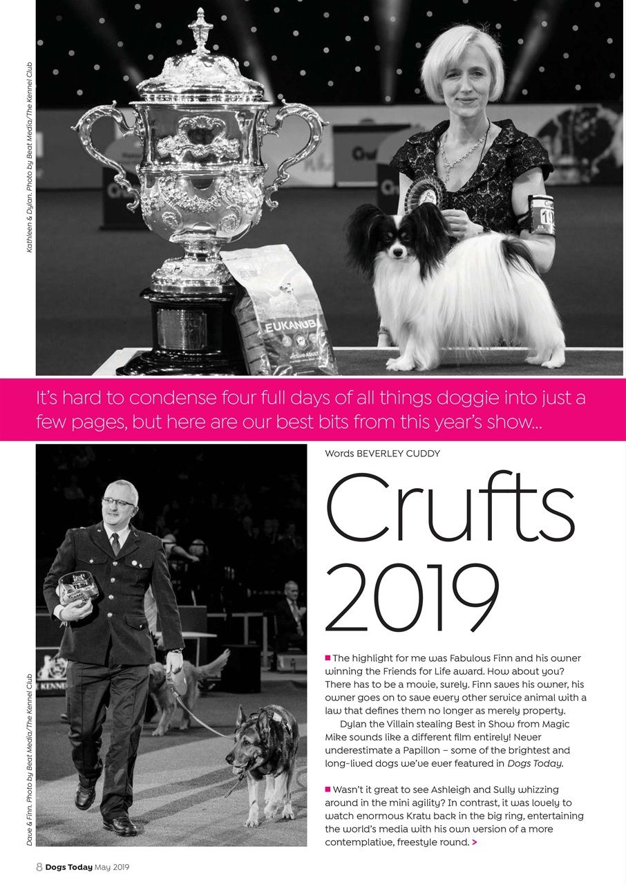 Dogs Today Magazine Preview Pages