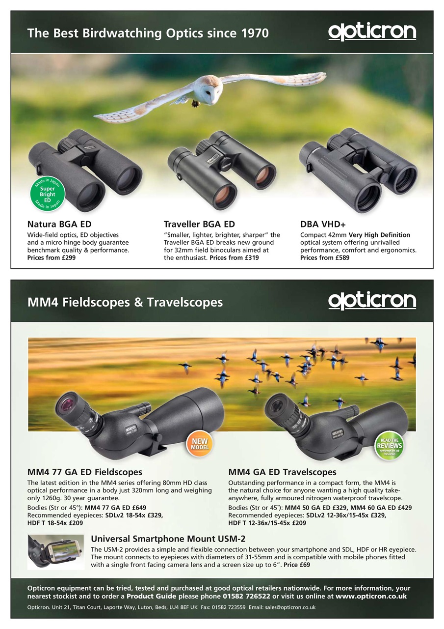 Bird Watching Preview Pages