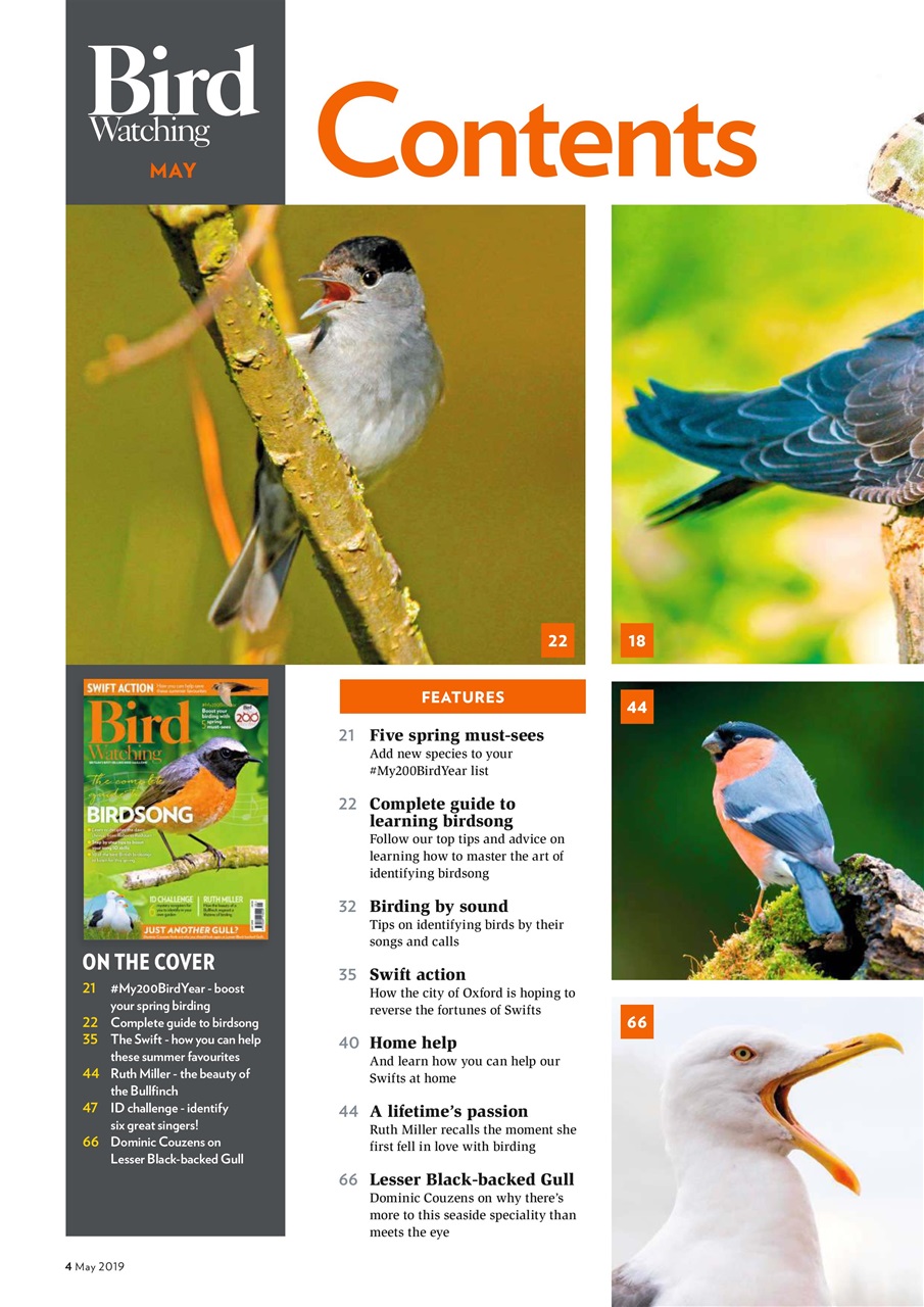 Bird Watching Preview Pages