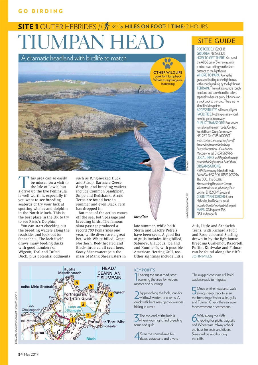 Bird Watching Preview Pages