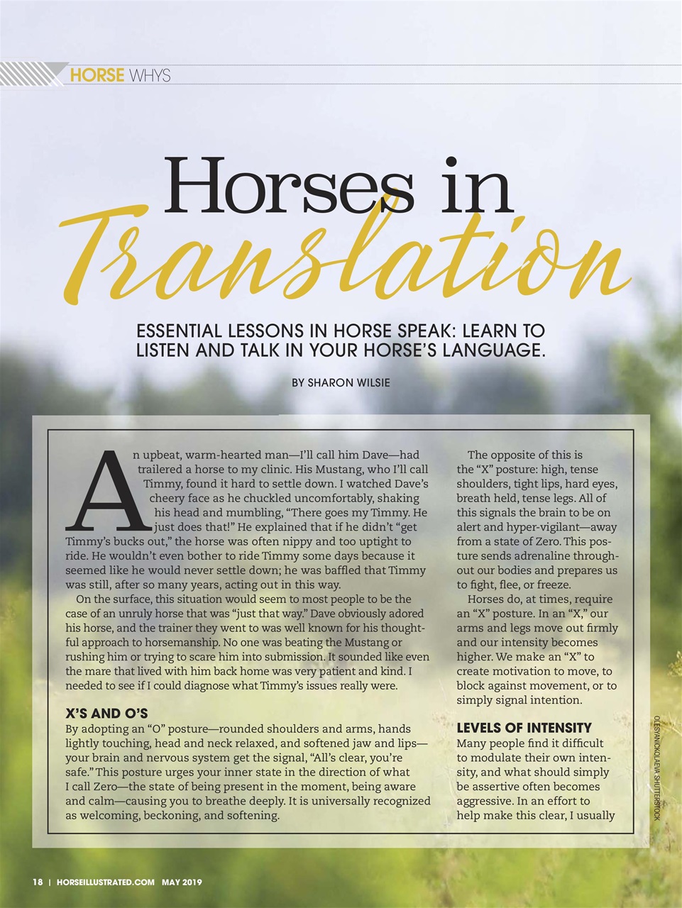 Horse Illustrated Magazine Preview Pages