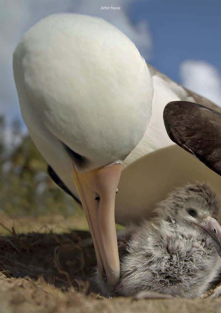 After Nyne Magazine Preview Pages