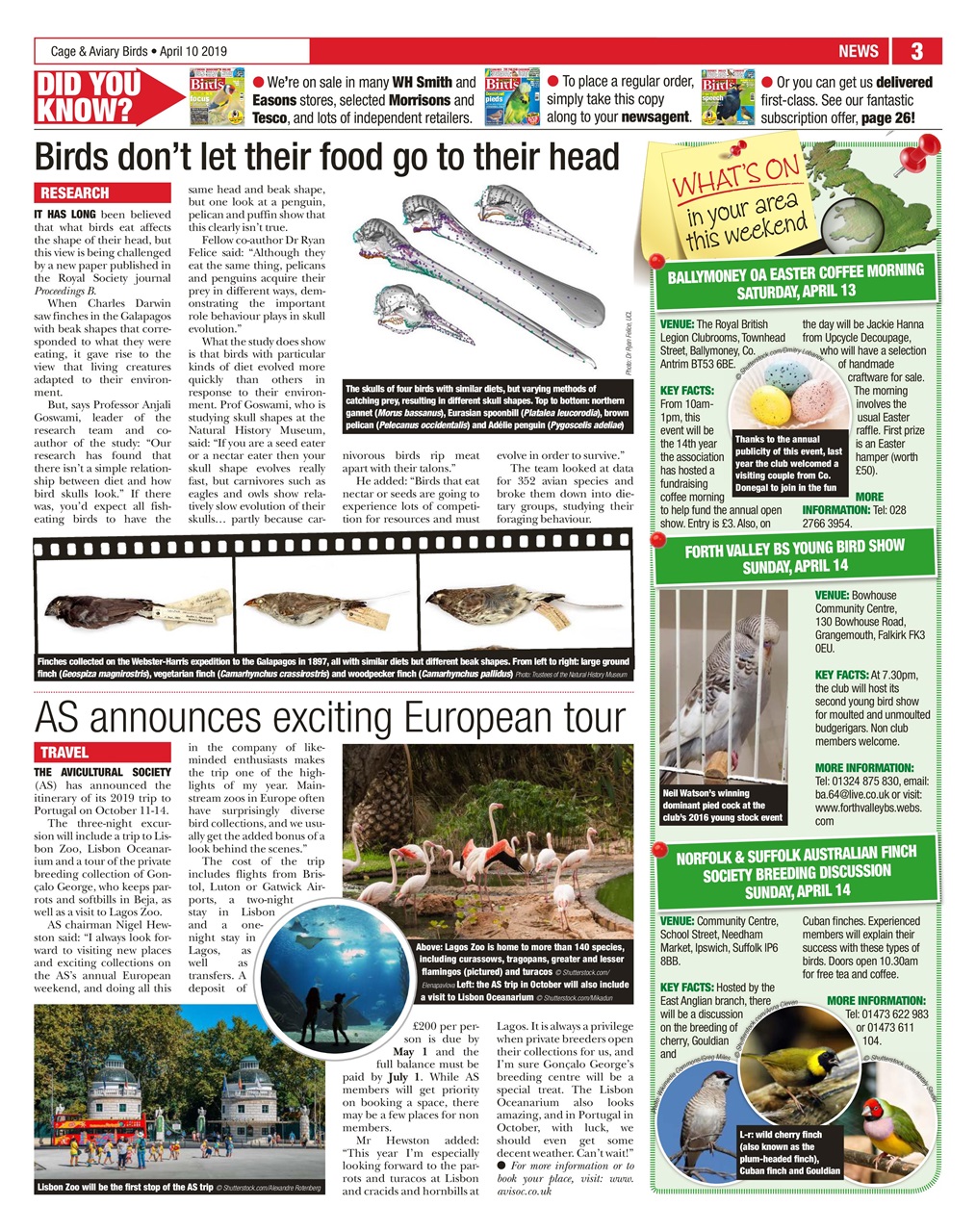 Cage & Aviary Birds Preview Pages