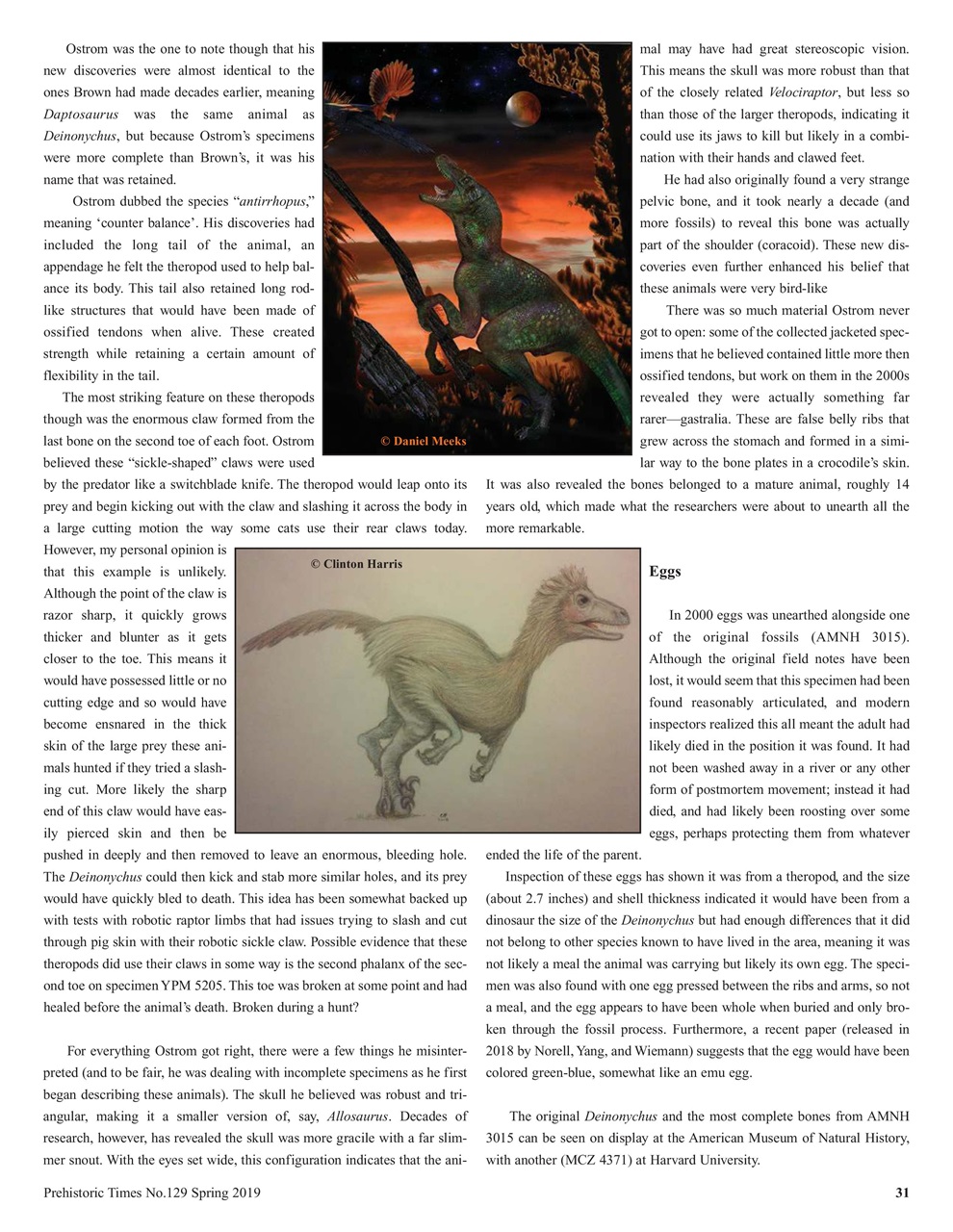 Prehistoric Times Preview Pages