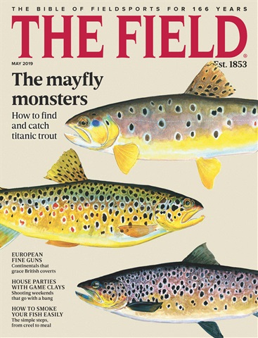 The Field issue May 2019