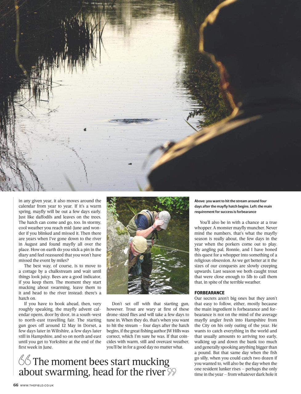 The Field Preview Pages