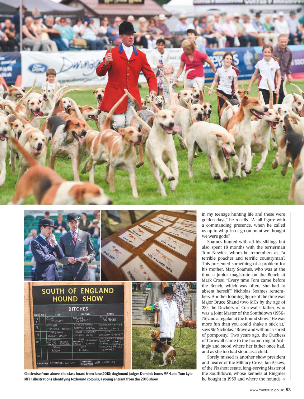 The Field Preview Pages