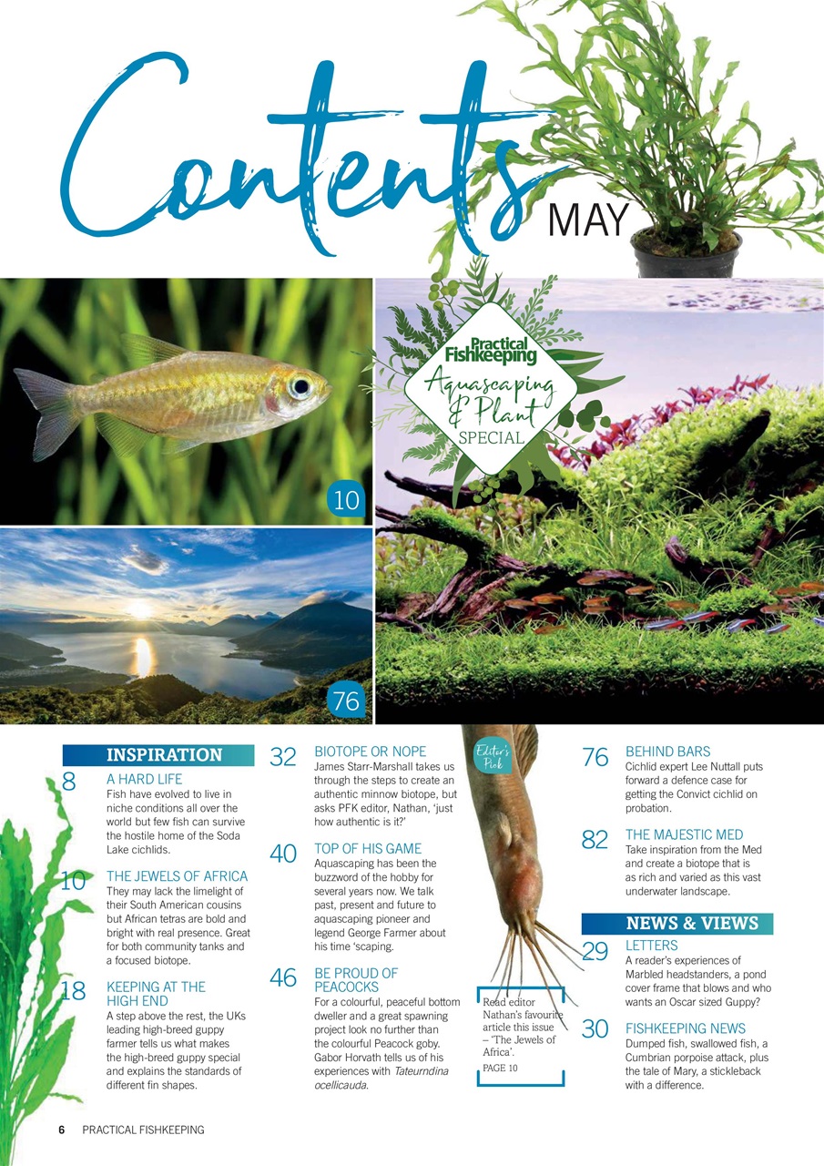 Practical Fishkeeping Preview Pages