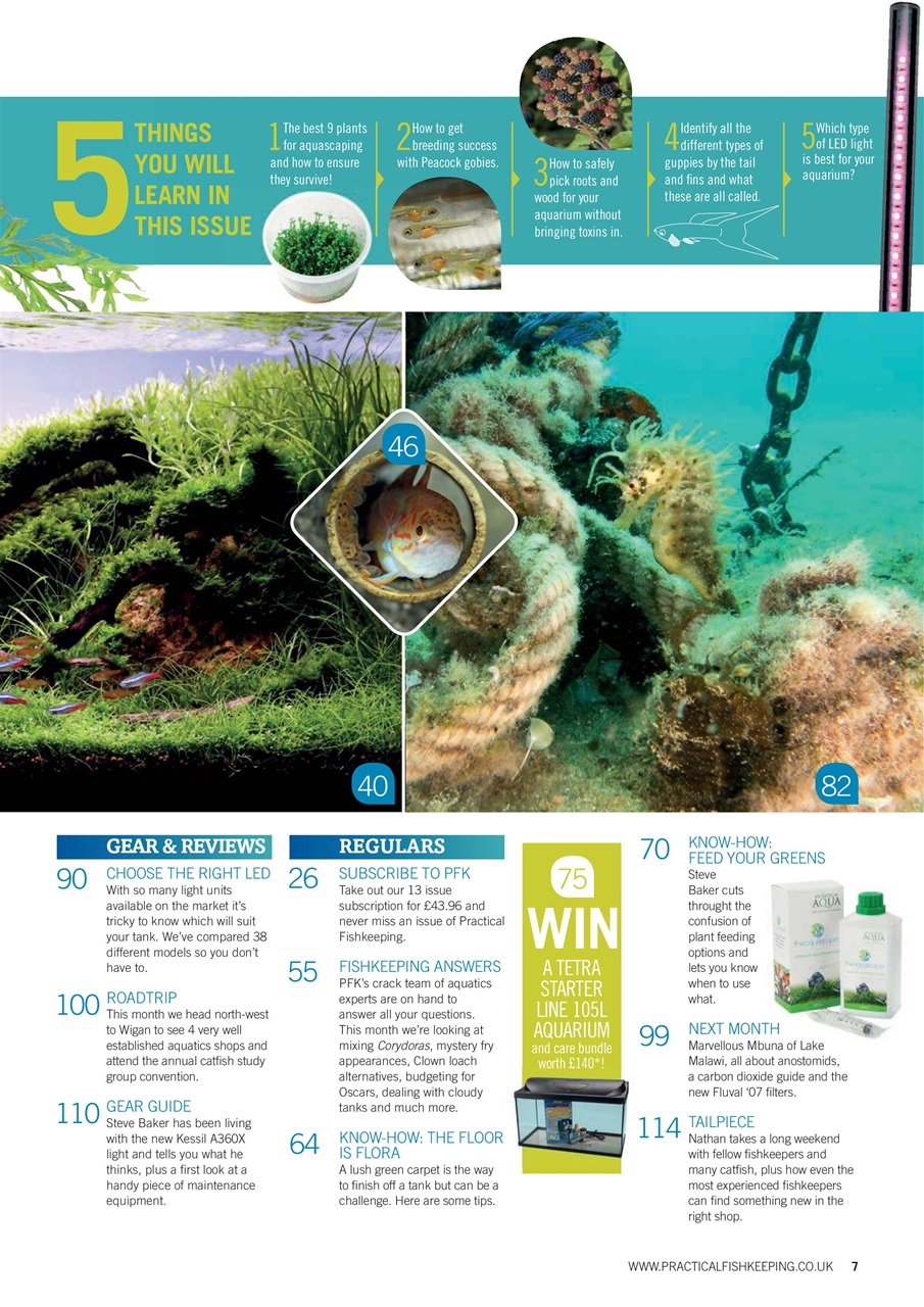 Practical Fishkeeping Preview Pages