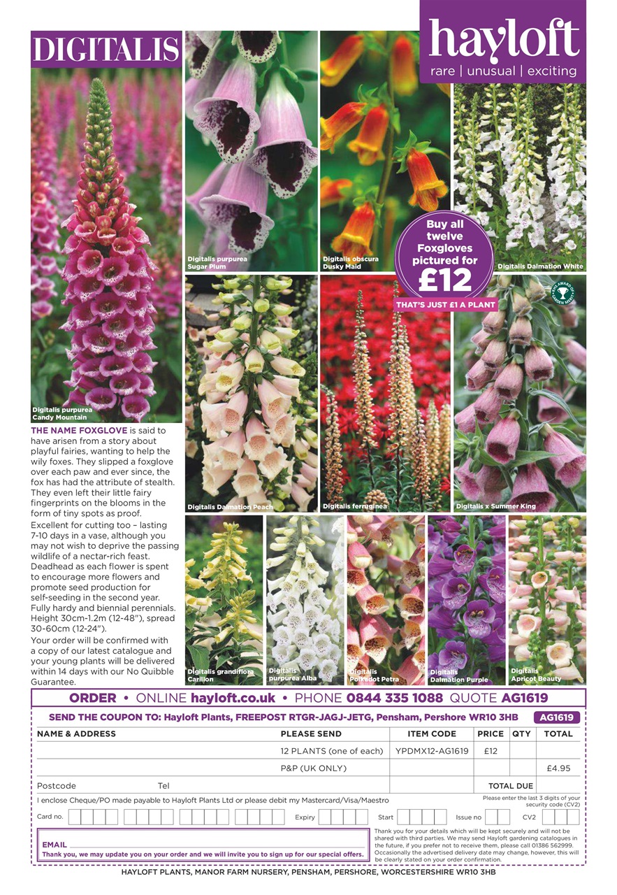 Amateur Gardening Preview Pages