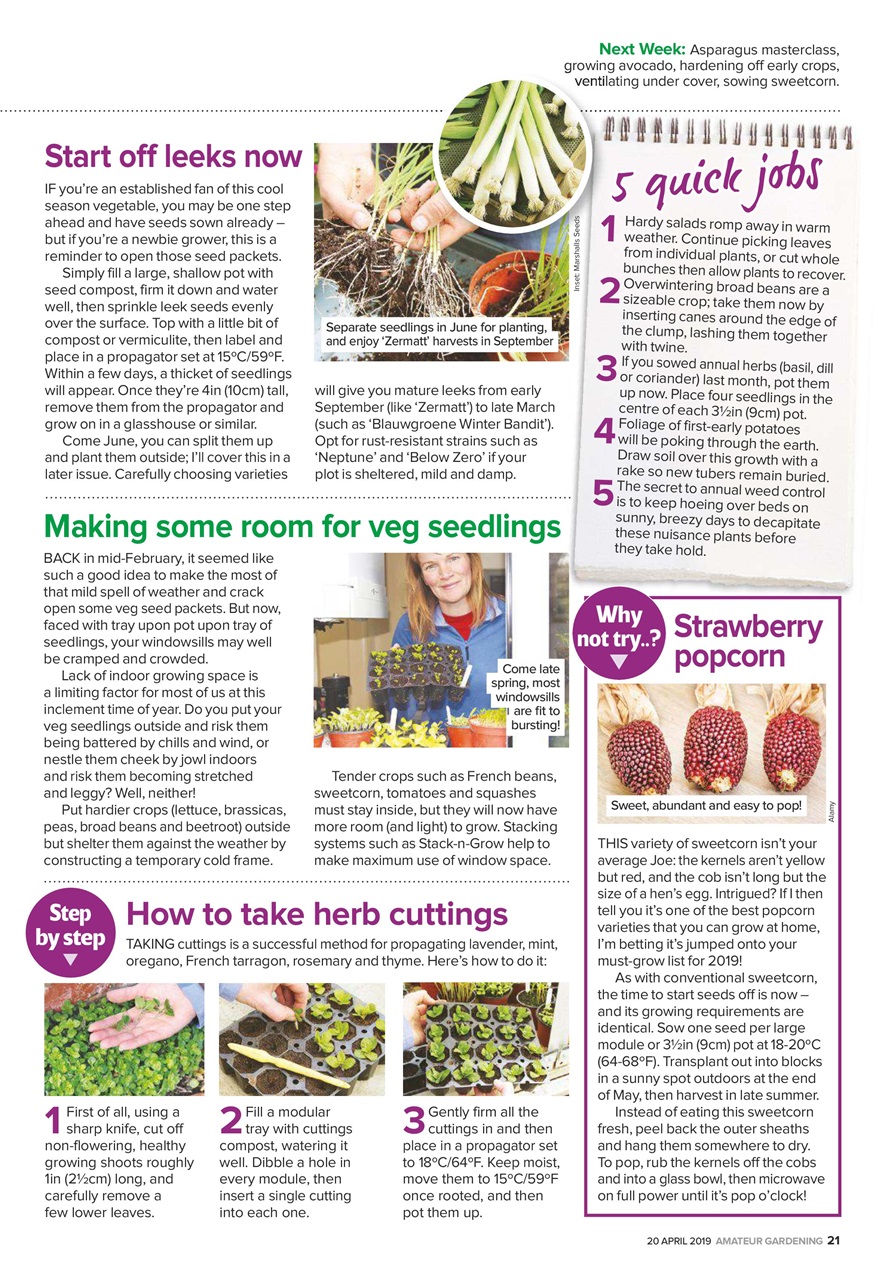 Amateur Gardening Preview Pages