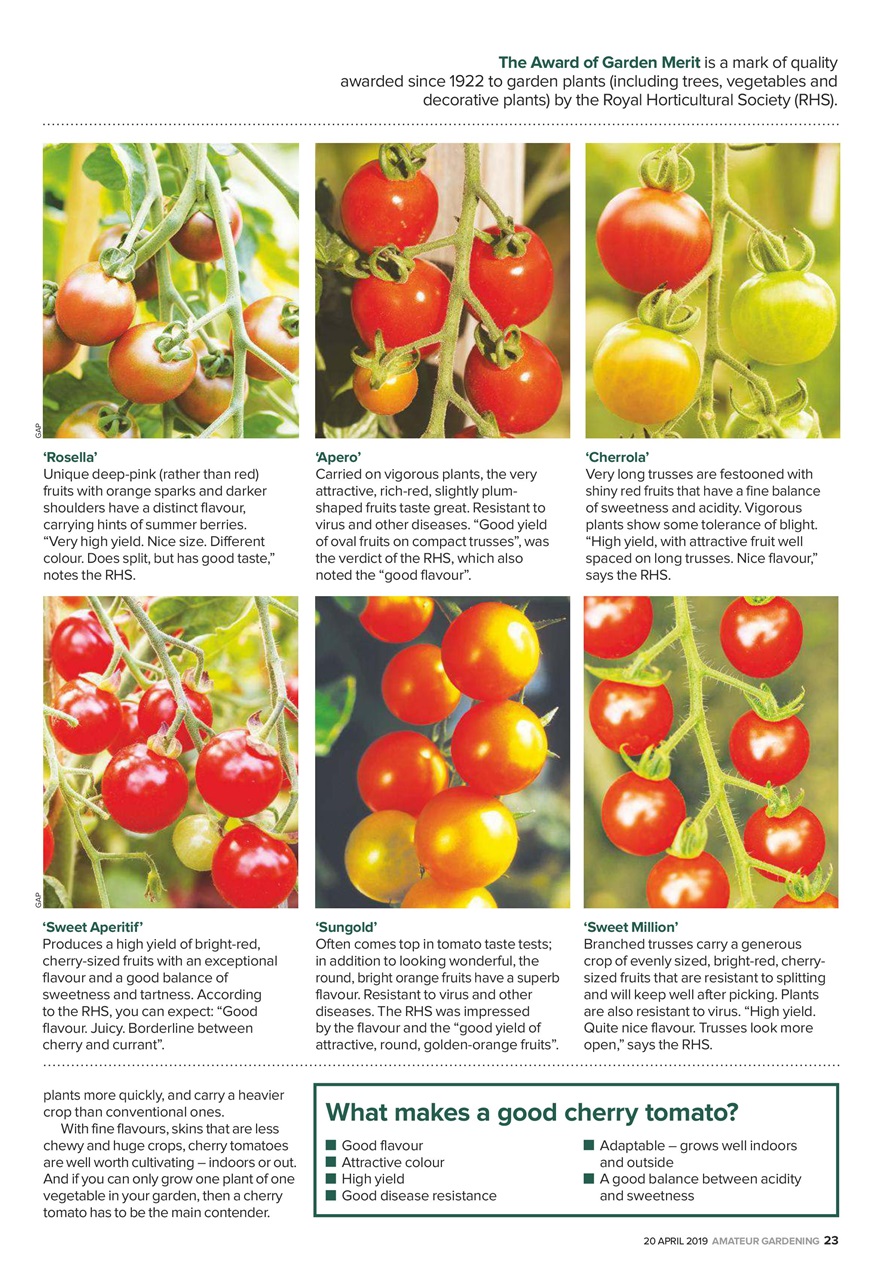 Amateur Gardening Preview Pages
