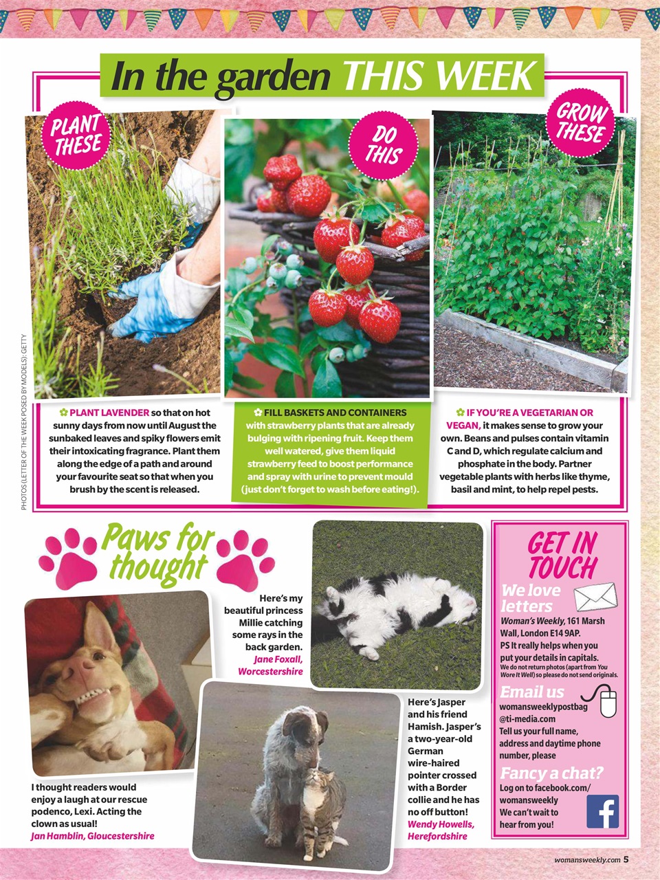 Woman's Weekly Preview Pages