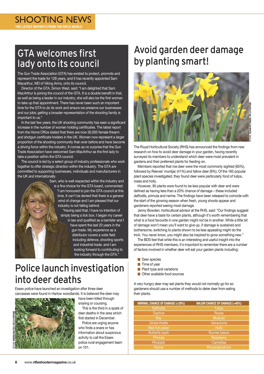 Rifle Shooter Preview Pages