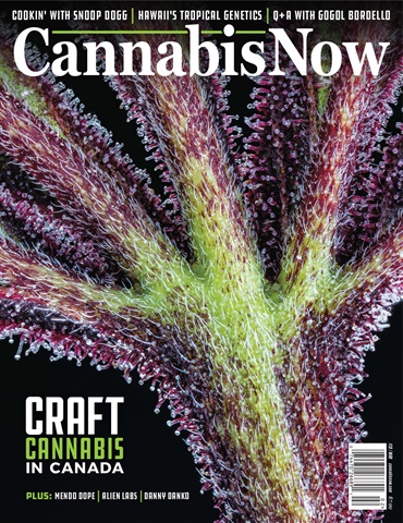 Cannabis Now issue Issue 35