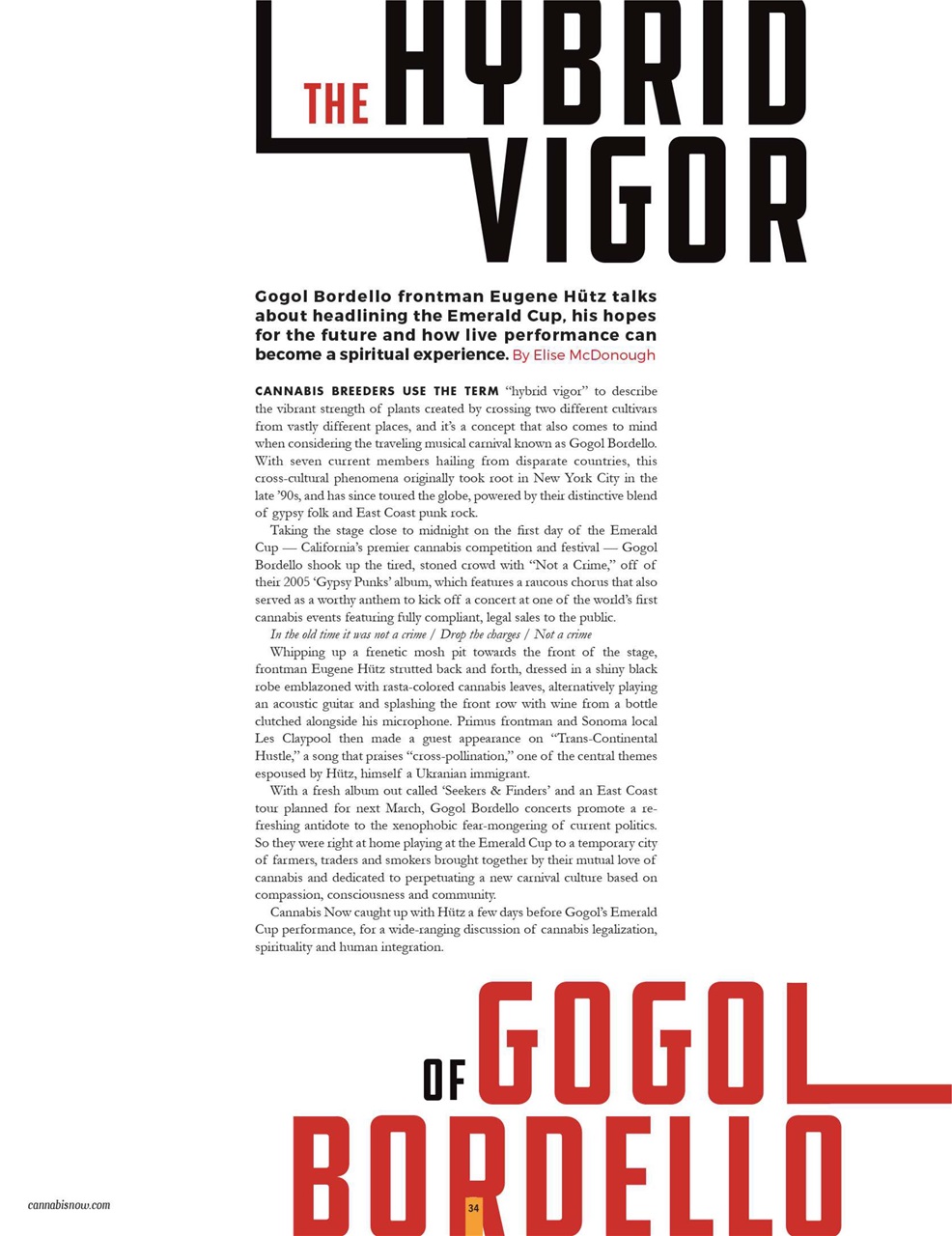 Cannabis Now Preview Pages