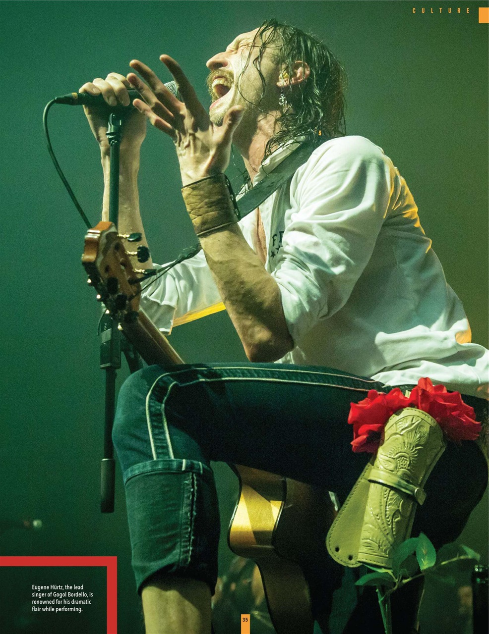 Cannabis Now Preview Pages