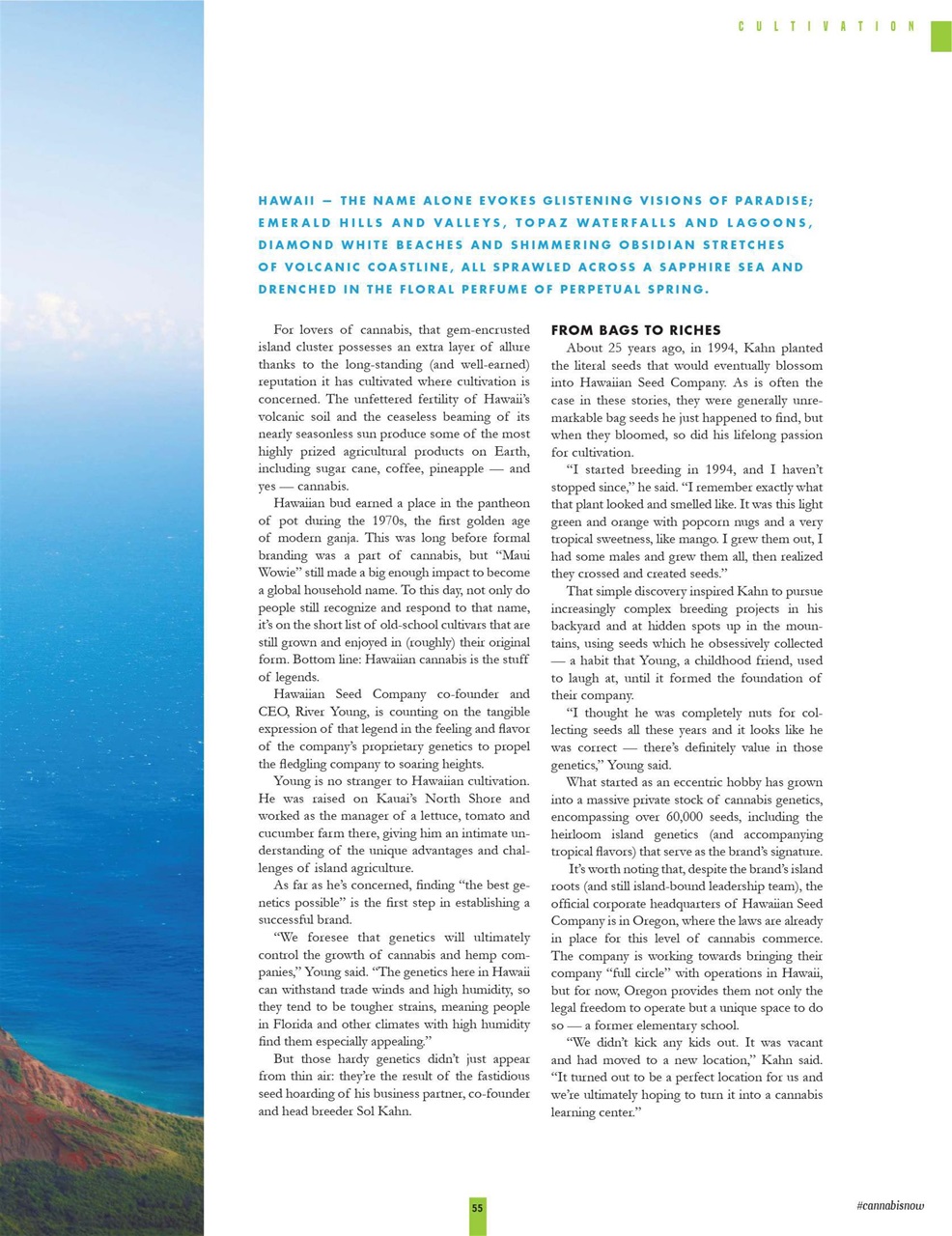 Cannabis Now Preview Pages