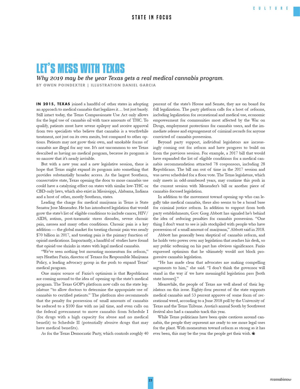 Cannabis Now Preview Pages