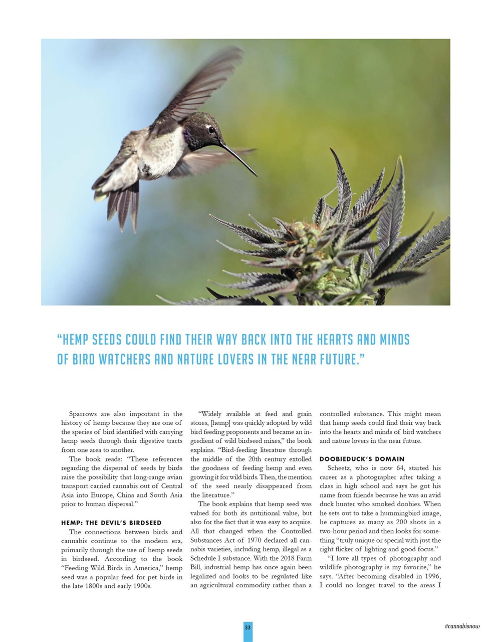 Cannabis Now Preview Pages