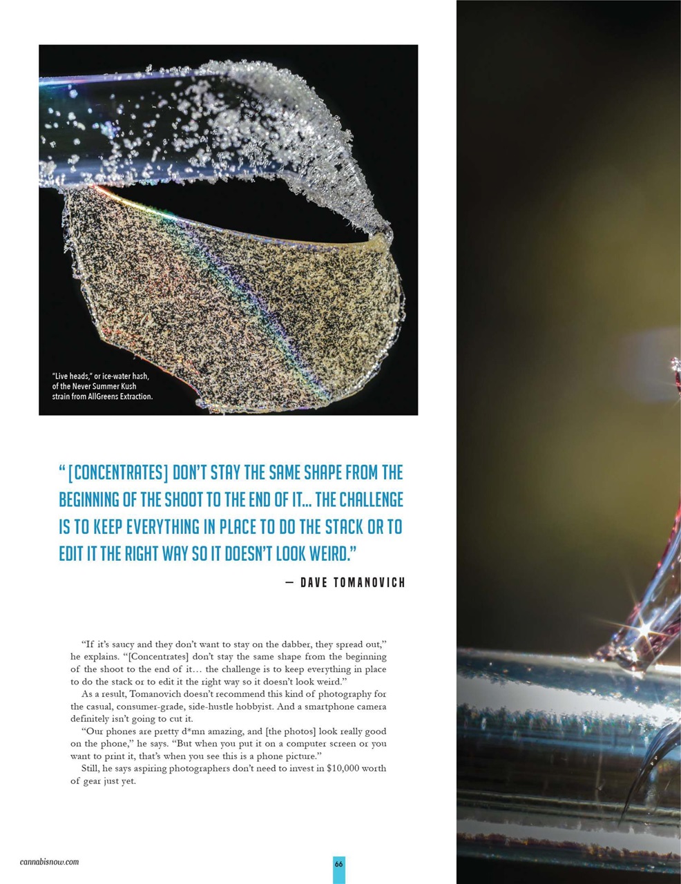 Cannabis Now Preview Pages