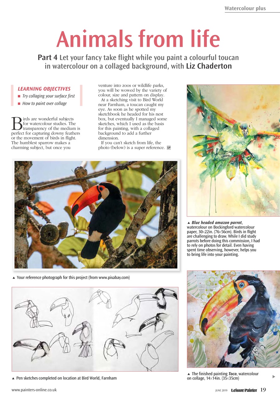 Leisure Painter & The Artist Preview Pages