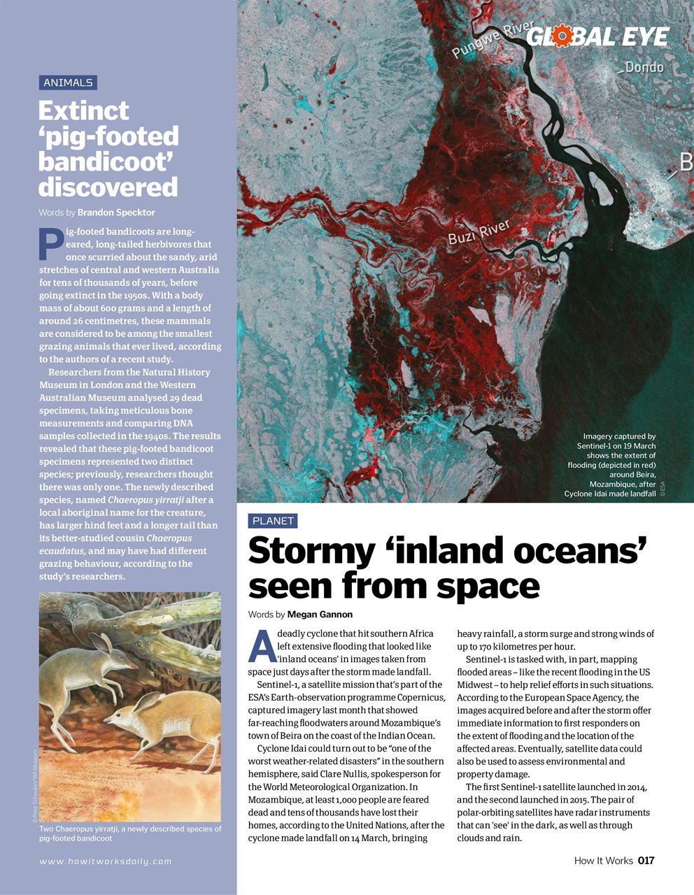 How It Works Preview Pages